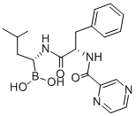 Bortezomib